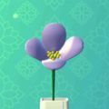 完美插花  V0.8.6下载