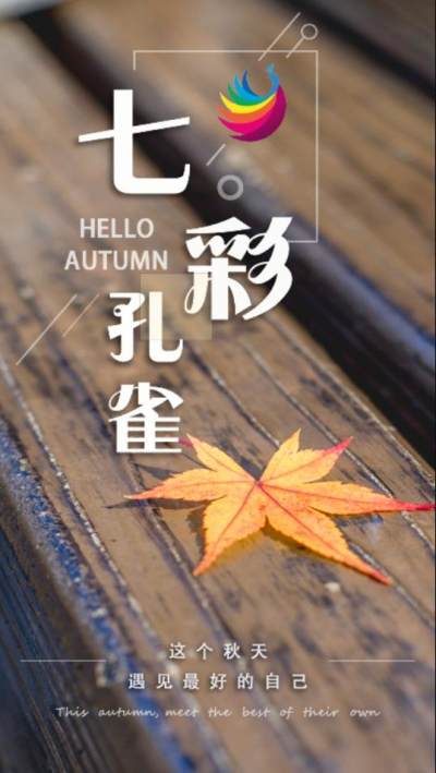 七彩孔雀直播
