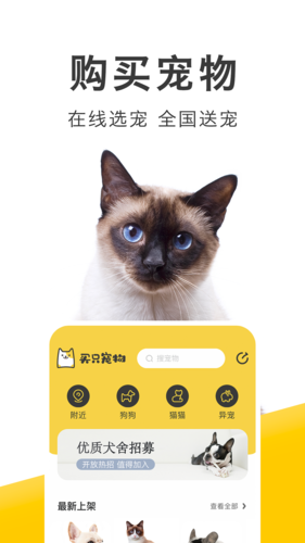 买只宠物宣传图
