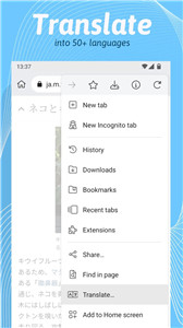 Kiwi浏览器中文版