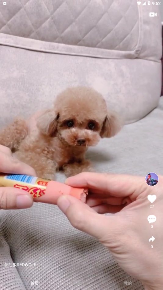 小主短视频