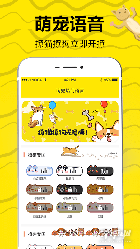 猫语交流翻译器截图2