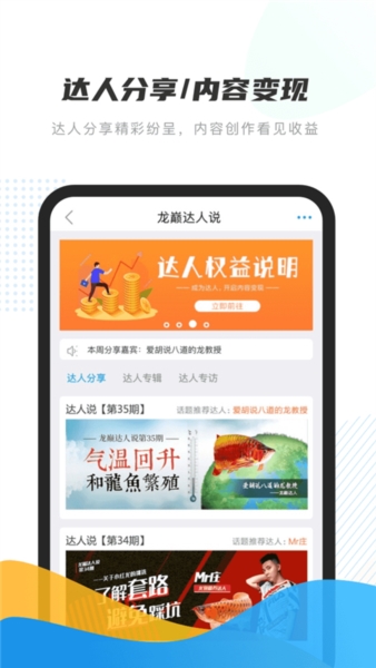 龙巅3