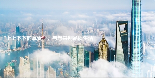 菱菱维保1