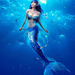 美人鱼社区在线观看下载