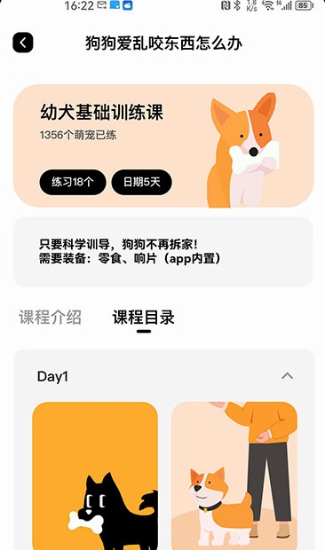 宠物记