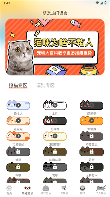 猫语交流翻译器app