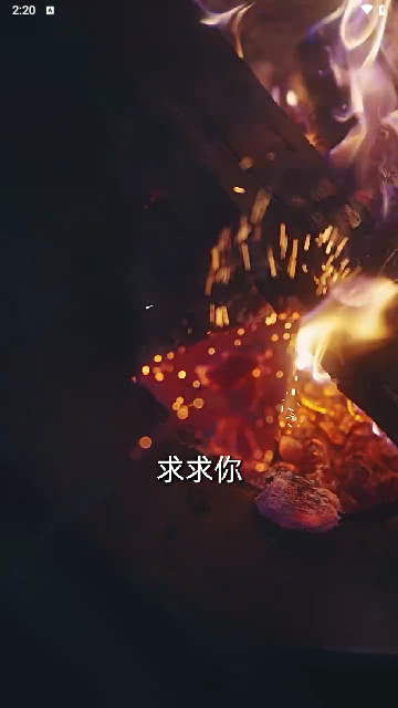 八荒视频2024最新版