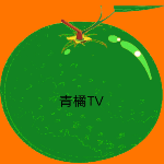 青桔TV免费下载