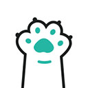 צapp