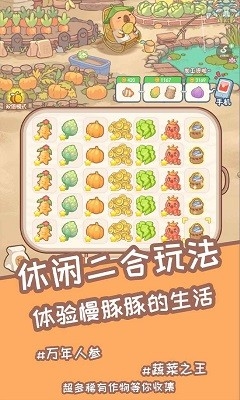 慢豚豚的生活免广告版下载 v1.0.4