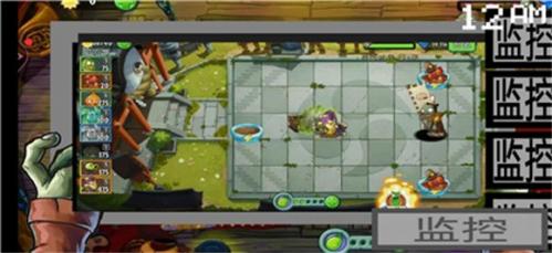 pvz午夜后宫