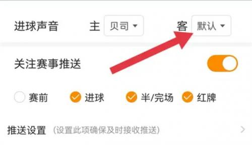 球探足球比分进球提示