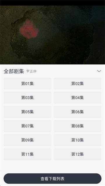 果茶视频app下载安装