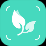 智能拍照识物 v1.3.3