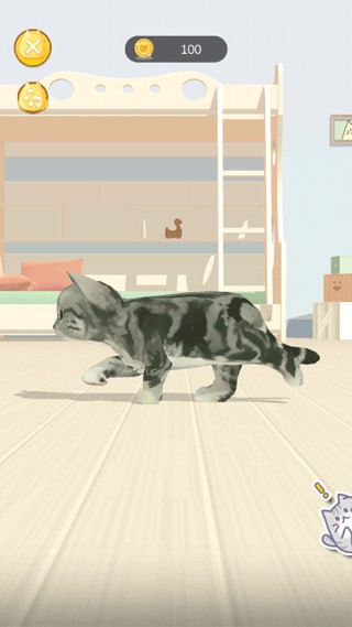 怎么养猫截图2