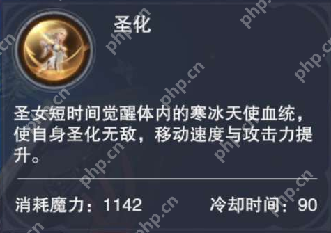 新神魔大陆圣女怎么样