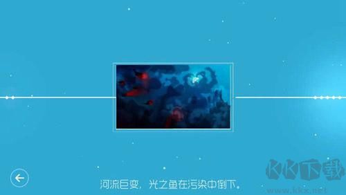 鲤