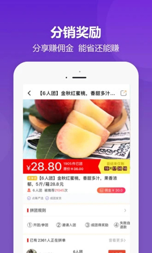 点筹网APP v4.5.5