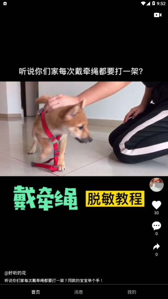 小主短视频