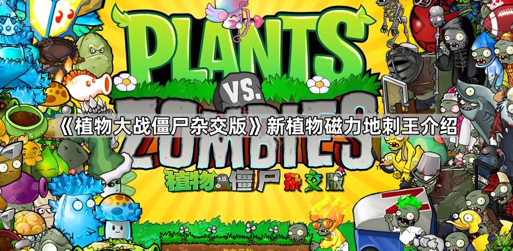 植物大战僵尸杂交版新植物磁力地刺王介绍