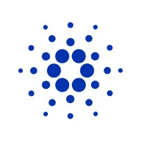 ada艾达币钱包汉化版
