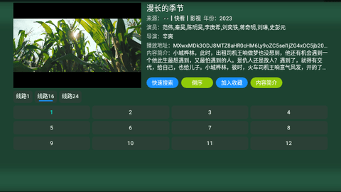 TV火炬仓2024最新版