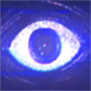 波比的游戏时间第五章自制版下载 v0.5F