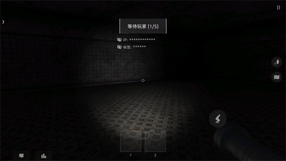 鬼魂联机版中文版