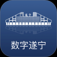 数字遂宁