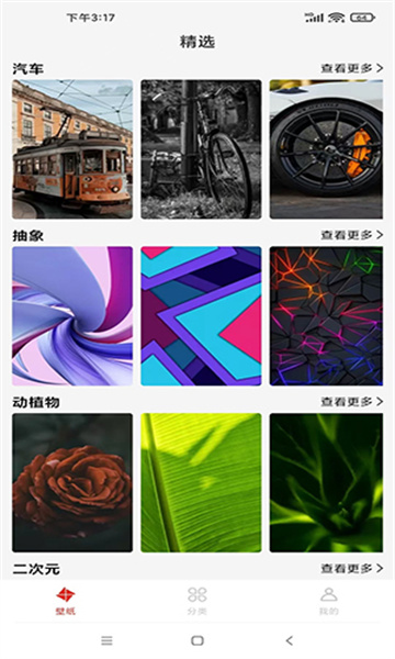 好看竖屏壁纸手机版下载图片1