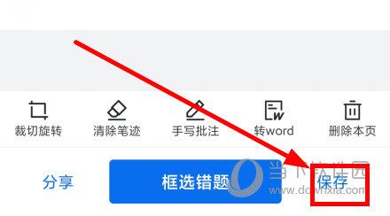 蜜蜂试卷