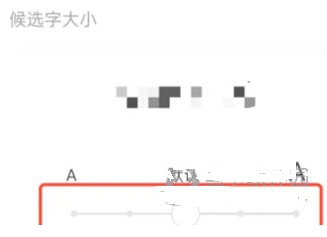 如何调整候选字大小配图3