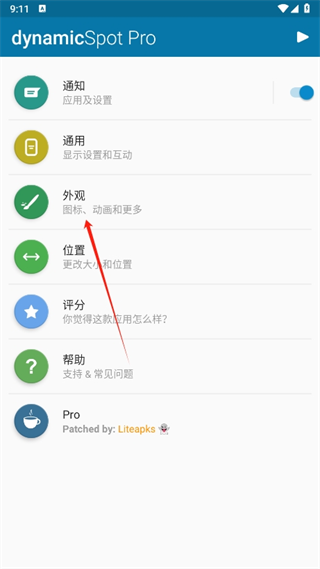 dynamicspot中文版(灵动岛)