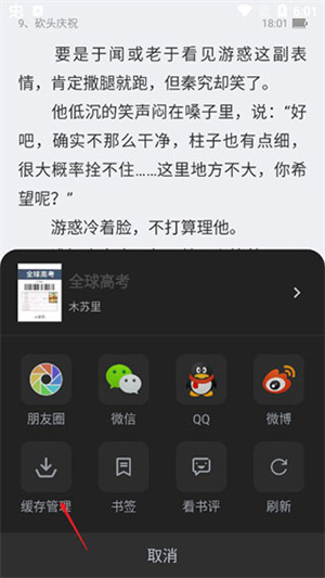 缓存小说截图教程6