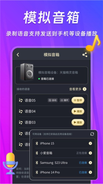 话筒扩音器最新版 v250703.1