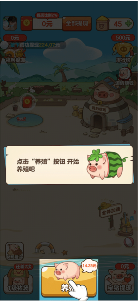 猪猪庄园3