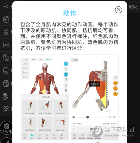 模型添加动作