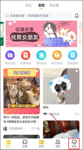 友猫2