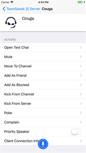TeamSpeak手机版