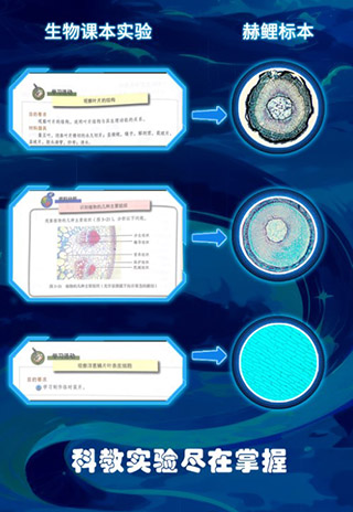 赫鲤