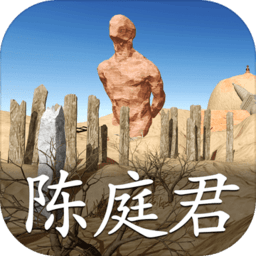 孙美琪疑案陈庭君安卓版