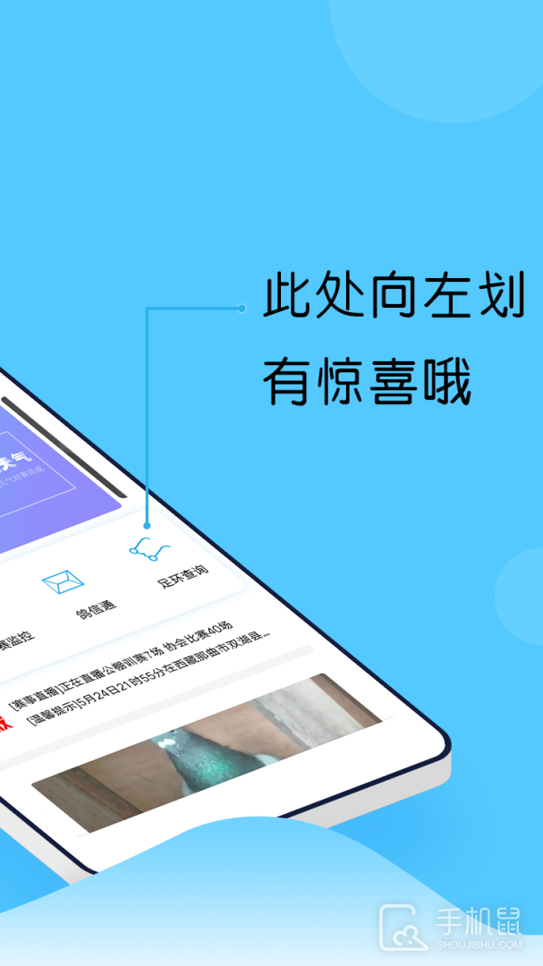 中鸽网 v2.5.05