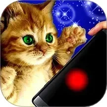 猫咪解压神器盒子