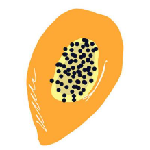 木瓜玩手游下载安装