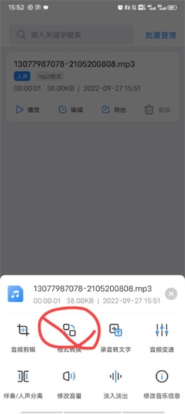 音频大师转换格式图片2