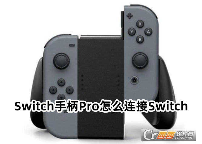 Switch手柄Pro專業版app下載官方版