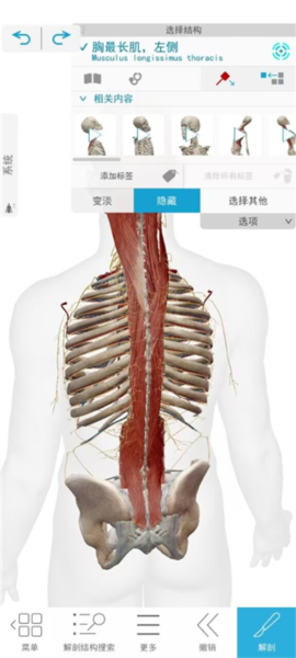 解剖和生理学软件截图7