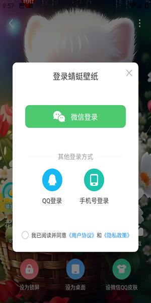 蜻蜓壁纸图片5