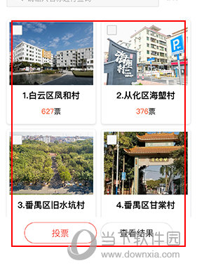 新花城怎么投票
